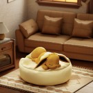 Sleepy Eevee Blind box thumbnail